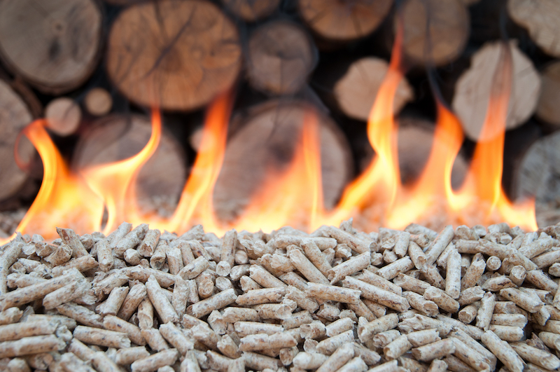 biomassa fuoco
